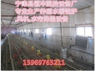 产品图501